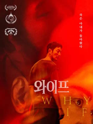 와이프 (2026)